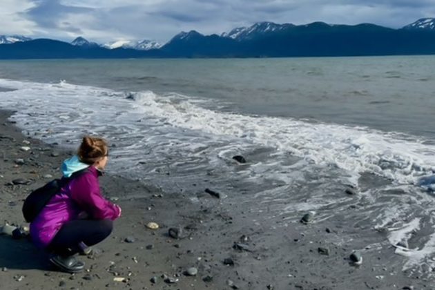 But What If Brave Speaks