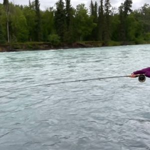 Perfect is Overrated Brave Speaks